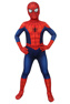 Picture of Ultimate Spider-Man Peter Parker Cosplay Costume for Kids mp005480