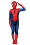 Picture of Ultimate Spider-Man Peter Parker Cosplay Costume for Kids mp005480