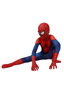 Picture of Ultimate Spider-Man Peter Parker Cosplay Costume for Kids mp005480