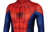 Picture of Ultimate Spider-Man Peter Parker Cosplay Costume for Kids mp005480