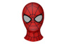 Picture of Ultimate Spider-Man Peter Parker Cosplay Costume for Kids mp005480