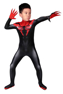 Picture of Ultimate Spider-Man Peter Parker Cosplay Costume for Kids mp005481