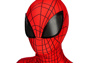 Picture of Ultimate Spider-Man Peter Parker Cosplay Costume for Kids mp005481