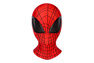 Picture of Ultimate Spider-Man Peter Parker Cosplay Costume for Kids mp005481