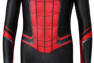 Picture of Spider-Man: Far From Home Peter Parker Cosplay Costume for Kids mp005482