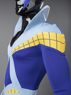 Picture of D.C. Comic 1940 Nightwing Dick Grayson Cosplay Costume mp005518