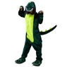 Picture of Ready to Ship Green Dinosaur Coral Fleece Pajamas and Shoes mp005569