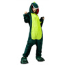 Picture of Ready to Ship Green Dinosaur Coral Fleece Pajamas and Shoes mp005569