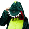 Picture of Ready to Ship Green Dinosaur Coral Fleece Pajamas and Shoes mp005569