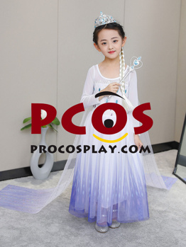 Picture of Ready to Ship Frozen 2 Elsa Spirit Dress Cosplay Costume For Kids mp005585