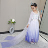 Picture of Ready to Ship Frozen 2 Elsa Spirit Dress Cosplay Costume For Kids mp005585