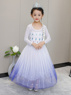 Picture of Ready to Ship Frozen 2 Elsa Spirit Dress Cosplay Costume For Kids mp005585