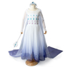 Picture of Ready to Ship Frozen 2 Elsa Spirit Dress Cosplay Costume For Kids mp005585