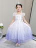 Picture of Ready to Ship Frozen 2 Elsa Spirit Dress Cosplay Costume For Kids mp005587