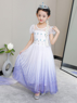 Picture of Ready to Ship Frozen 2 Elsa Spirit Dress Cosplay Costume For Kids mp005587