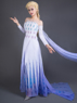 Image de Prêt à expédier Frozen 2 Elsa Spirit Dress Cosplay Costume mp005584