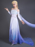 Immagine di Ready to Ship Frozen 2 Elsa Spirit Dress Cosplay Costume mp005584