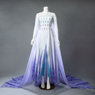 Imagen de Ready to Ship Frozen 2 Elsa Spirit Dress Disfraz de Cosplay mp005584