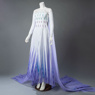 Image de Prêt à expédier Frozen 2 Elsa Spirit Dress Cosplay Costume mp005584