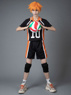 Изображение Shōyō Hinata Number Ten Cosplay Jerseys mp005814