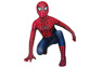 Photo du costume de cosplay Peter Parker 2004 pour enfants mp005962