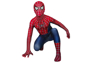 Picture of Spider-Man 2004 Spiderman Peter Parker Cosplay Costume for Kids mp005962