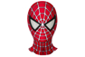 Photo du costume de cosplay Peter Parker 2004 pour enfants mp005962