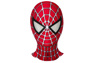 Immagine del costume cosplay di Peter Parker del 2004 per bambini mp005962