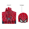 Immagine del costume cosplay di Peter Parker del 2004 per bambini mp005962