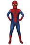 Picture of The Amazing Spider-Man Peter Parker Cosplay Costume for Kids mp005963