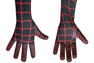 Picture of Spider-Man: Secret Wars Spider-man Cosplay Costume for Kids mp005966