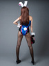 Picture of Bunny Girl Cosplay Costume mp005861