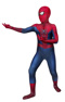 Picture of The Amazing Spider-man 2 Peter Parker Cosplay Jumpsuit For Kids mp006047