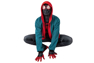 Picture of Miles Morales Cosplay Costume Jumpsuit C00201
