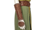 Picture of Raya and the Last Dragon Raya Cosplay Costume C00316