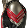 Immagine del costume cosplay C00370 del falco e del soldato d'inverno Falcon Sam Wilson