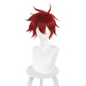 Изображение SK8 The Infinity Reki Kyan Cosplay Wigs C00420