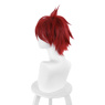 Изображение SK8 The Infinity Reki Kyan Cosplay Wigs C00420