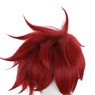 Immagine di SK8 the Infinity Reki Kyan Cosplay Wigs C00420