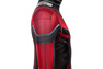 Immagine di Ant-Man and the Wasp Scott Edward Harris Lang Costume Cosplay Tuta per bambini C00509