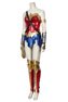 Immagine del Costume Cosplay Diana Prince del 1984 C00748