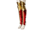 Immagine del Costume Cosplay Diana Prince del 1984 C00748