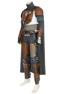 Immagine del costume cosplay Mandalorian C00763