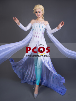 Picture of Frozen 2 Elsa Spirit Dress Cosplay Costume mp005584