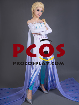 Picture of Frozen 2 Elsa Spirit Dress Cosplay Costume mp005584