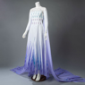 Image de Frozen 2 Elsa Spirit Dress Cosplay Costume mp005584