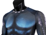 Picture of DC Aquaman 2  Arthur Curry Cosplay Costume C00860