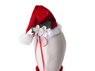 Picture of Ram Christmas Cosplay Costume  C00880