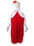 Picture of Emilia Christmas Cosplay Costume  C00882