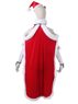 Picture of Re:Life in a different world from zero Emilia Christmas Cosplay Costume  C00882